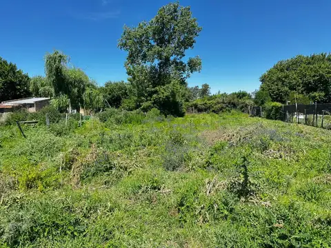 Terreno en Venta en Villa Lia, USD 25.000