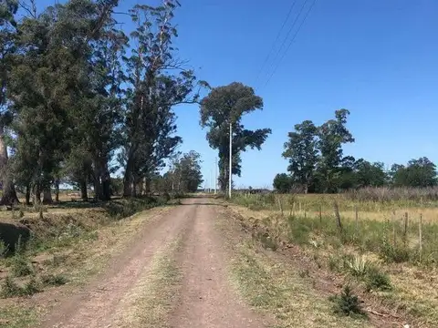 Retasado!Venta Campo 52 Hectareas San Vicente