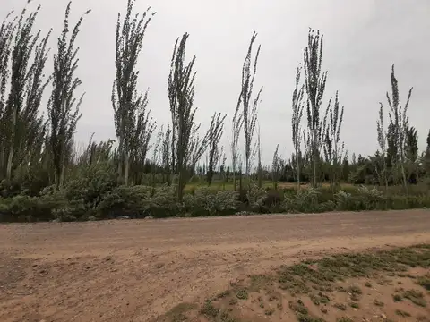 Ruta 151/Km 31 calle 13