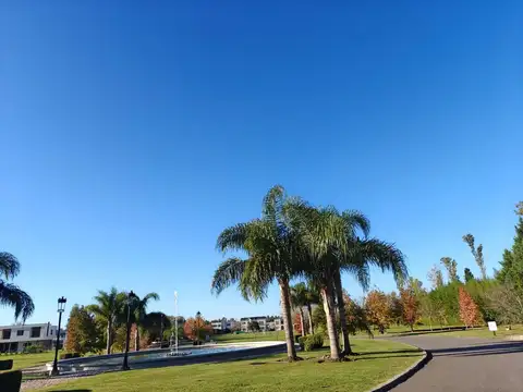 Av Caamaño