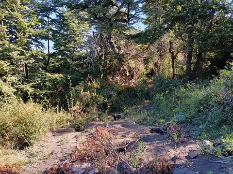 Terreno en Venta de 625,0 m2