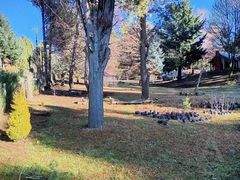 FINA PATAGONIA. Lote en venta de 1800m2 ubicado en San Martin de los Andes