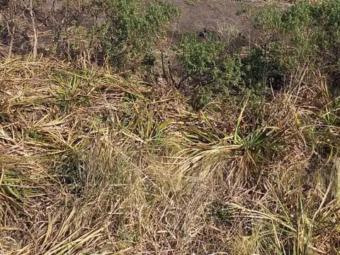 Terreno en Venta en Balcarce, USD 30.000