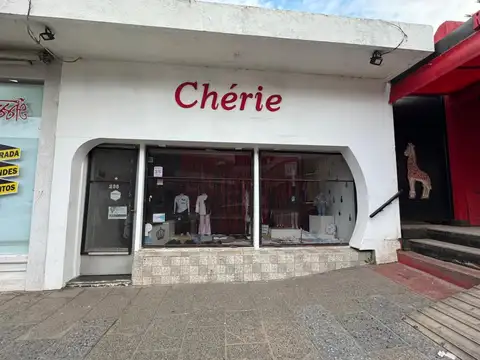 Local en Venta A Estrenar