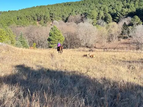 VENTA LOTE 1.13HA  SAN MIGUEL DE LOS RIOS YACANTO