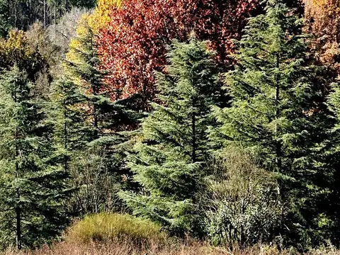 Terreno en Venta de 11347,0 m2