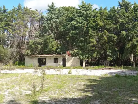 Galpon en Alquiler 150  mts Frente