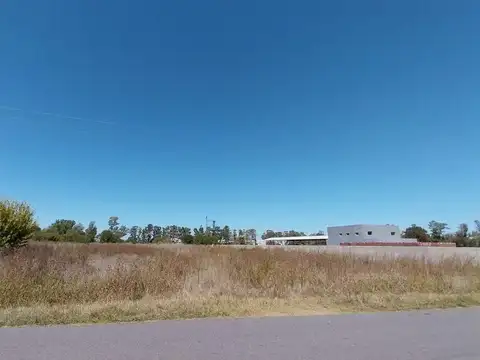 Terreno en Venta de 8000,0 m2