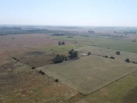 campo de 66,6 has en venta en General Las Heras