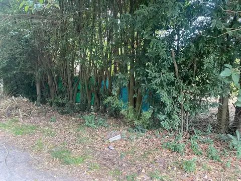 Terreno en Venta en Villa Elisa, USD 60.000