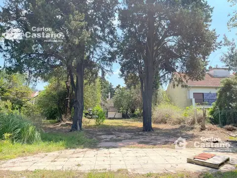 3 Lotes Juntos o Separados