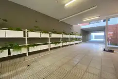 Emprendimiento - Entrega Noviembre 2024