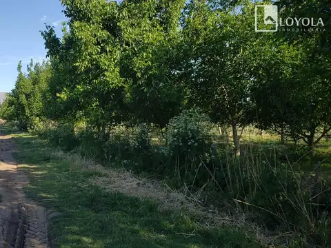 5 Hectáreas para Producción y Vivienda La Paz Cordoba