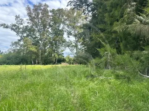 LOTE CON ARBOLEDA SAN ANDRES DE GILES ZONA DE QUINTAS