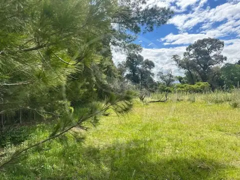 Terreno en Venta de 5060,0 m2