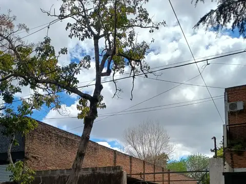 Terreno de 341,377 m² en venta en Olivos Calle Acasusso 2851