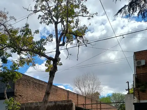 Terreno en Venta en Olivos Golf, USD 250.000