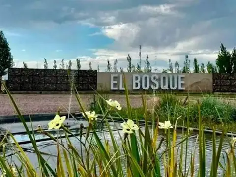 Lote en venta