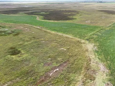 CAMPO MIXTO EN VENTA EN MADERO, PEHUAJÓ