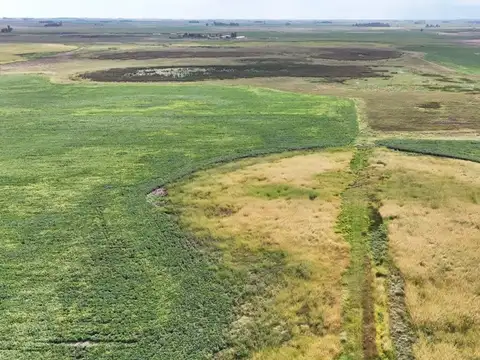 CAMPO MIXTO EN VENTA EN MADERO, PEHUAJÓ