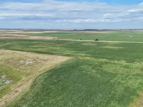 CAMPO MIXTO EN VENTA EN MADERO, PEHUAJÓ