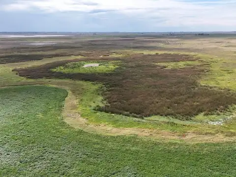 CAMPO MIXTO EN VENTA EN MADERO, PEHUAJÓ