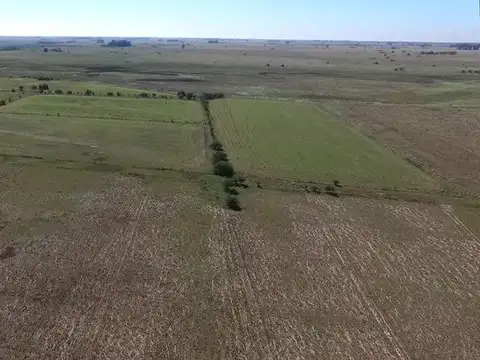 Campo en venta 360 Has en Bavio, Magdalena . Suelo 80 % agrícola.
