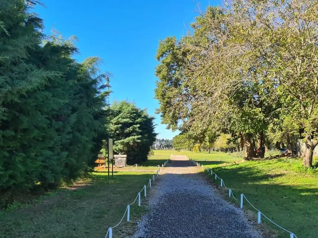 Hermoso lote al lago con excelente orientacion en San Sebast - Foto 18