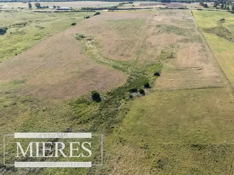 Chacra de 10 con arroyo y frente a ruta 39  Maldonado