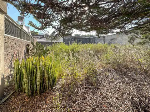 Terreno en Venta 20  mts Fondo