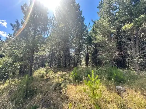 Lote en barrio cerrado El Desafío