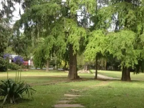 Terreno en Venta de 10442,0 m2