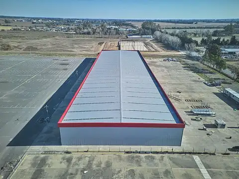 Zarate- Camino de la Costa Brava al 2000