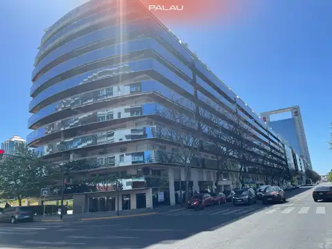 Juana Manso 455
