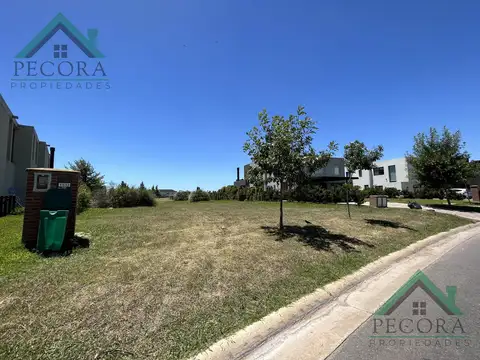 El Trébol - lote 1532 - Haras Santa Maria