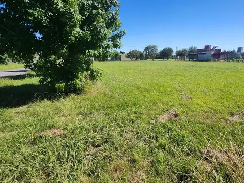 VENTA - Terrenos. Dos lotes de 800 m2 cada uno - Coronel Domínguez.