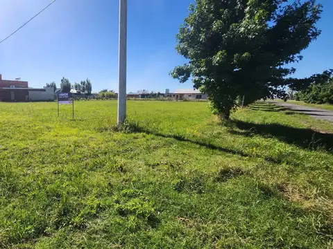 Belgrano y Pueyrredon