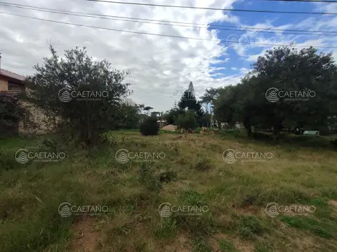 Terreno en Venta 29  mts Fondo