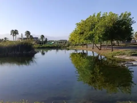 Terreno en Venta en El Sauce, Guaymallén