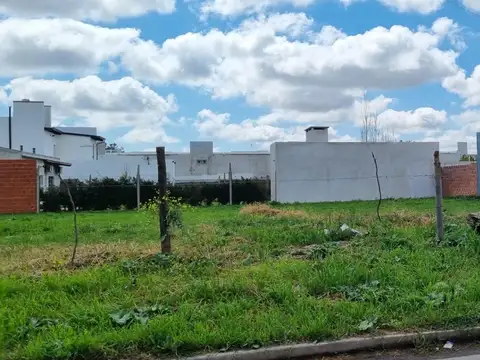 Catamarca 200