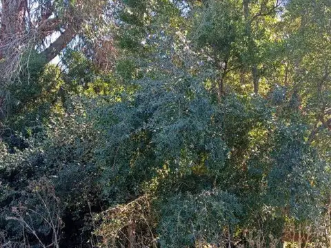 Circunvalacion 5 , Piso 0