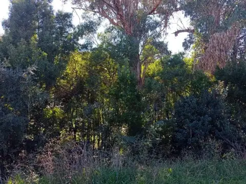 Terreno en Venta en Verónica, USD 45.000
