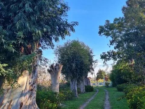 VENTA CAMPO EN BRANDSEN