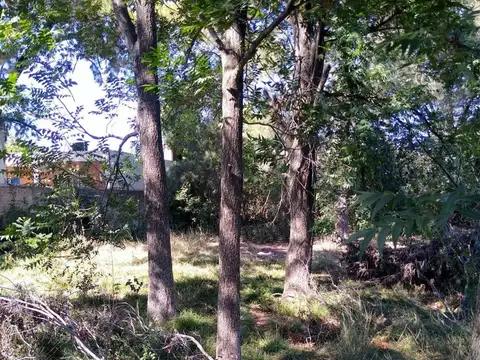 General Jose Maria Paz 3400