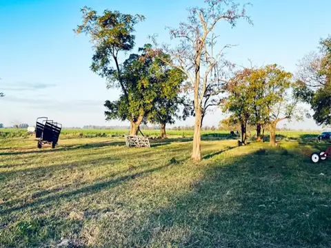 Campo en Venta en Mercedes, Partido de Mercedes