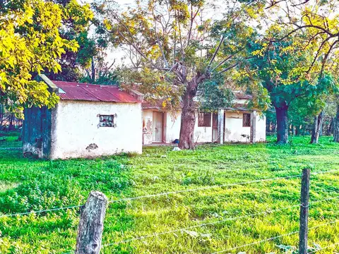 Campo mixto a 125 kms de Bs As -