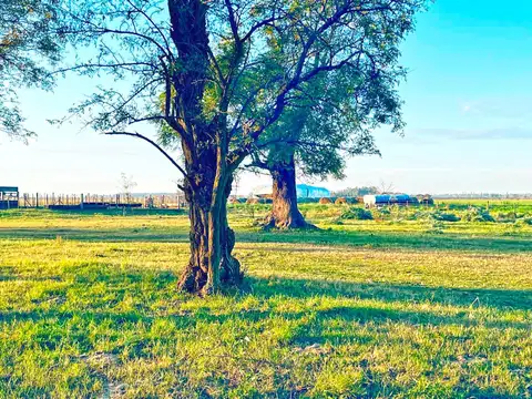 Campo mixto a 125 kms de Bs As -
