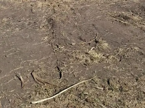 Terreno en Venta en Mariano Acosta, $ 15.000.000