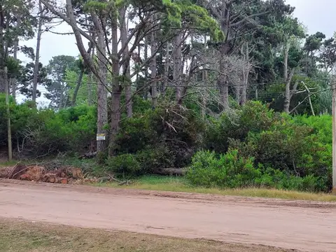 Terreno en Venta de 1133,0 m2