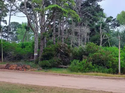 Excelente esquina compuesta por 4 lotes